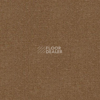 Ковролин Radici Abetone Beige 4796 фото 1 | FLOORDEALER